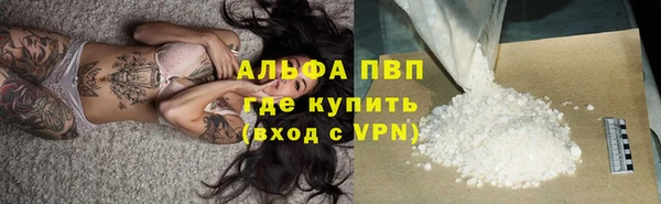 винт Алзамай