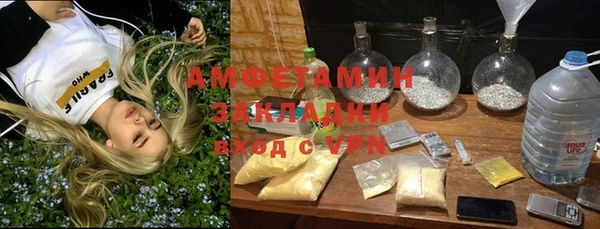 ПСИЛОЦИБИНОВЫЕ ГРИБЫ Алексин