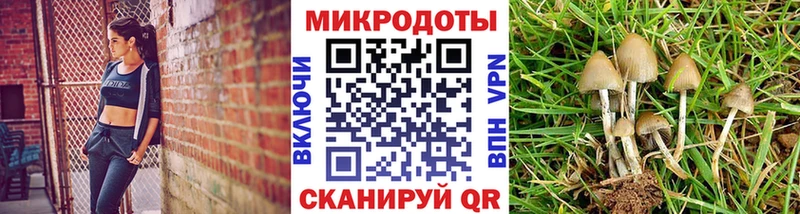Псилоцибиновые грибы прущие грибы  купить наркоту  Октябрьск 